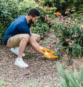 Domestic Sector supported by Hills Quarry Products, premier suppler in the South West of England