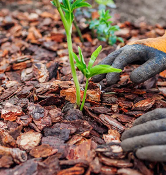 Special Materials from Hills Quarry Products, the premier supplier for the south west.