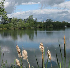 SwillbrookLake Swillbrook Nature Reserve