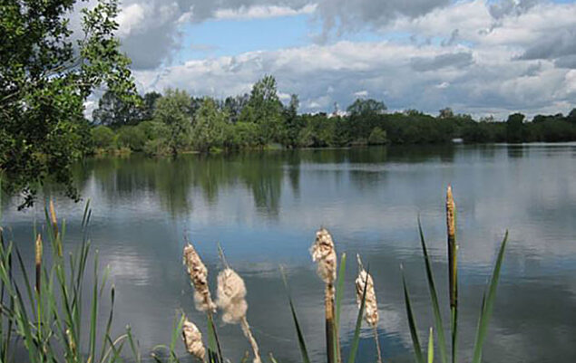Swillbrook Nature Reserve