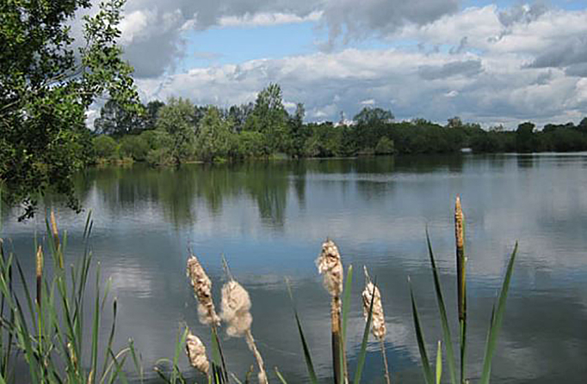 Swillbrook Nature Reserve
