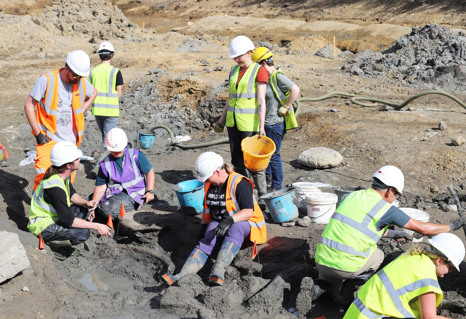 More mammoth discoveries at quarry near Swindon