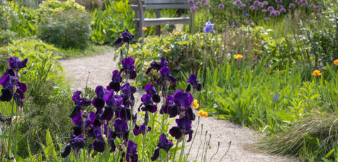Cotswold Hoggin, landscaping aggregates - Hills Quarry Products