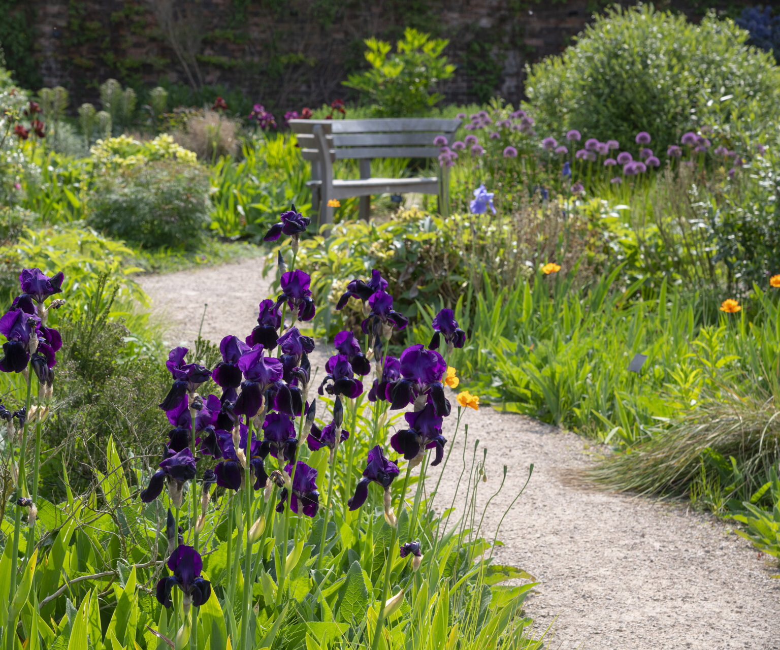 cotswold hoggin garden landscaping