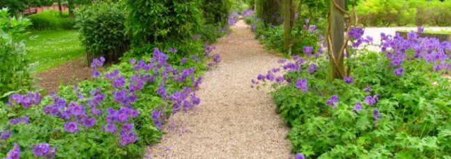 Cotswold Path Gravel