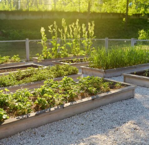 Cotswold chippings garden landscaping