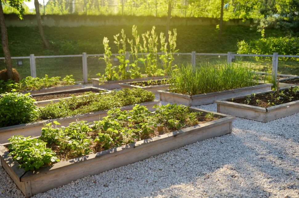 Cotswold chippings garden landscaping