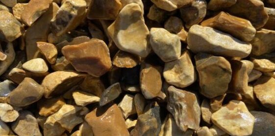 Mortimer flint Mortimer flint