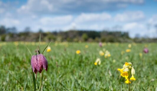 Restoration-Blog-Header-3