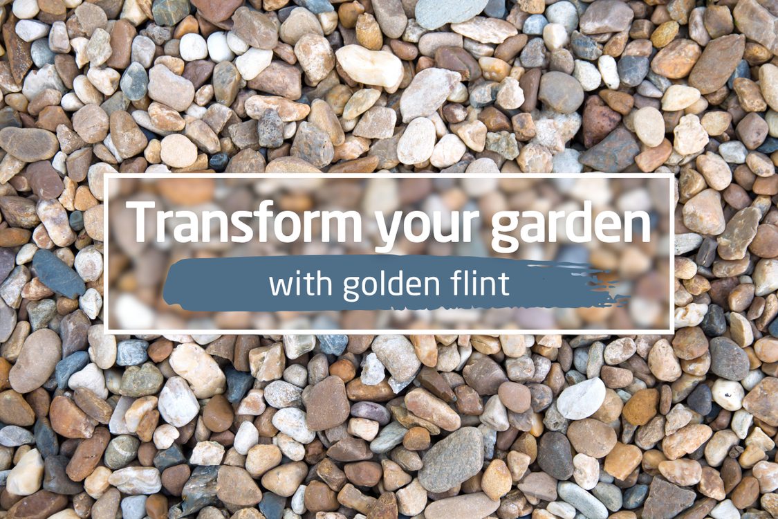 Transform your garden with golden flint Transform your garden with golden flint